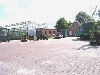 Bilder der Baumschule